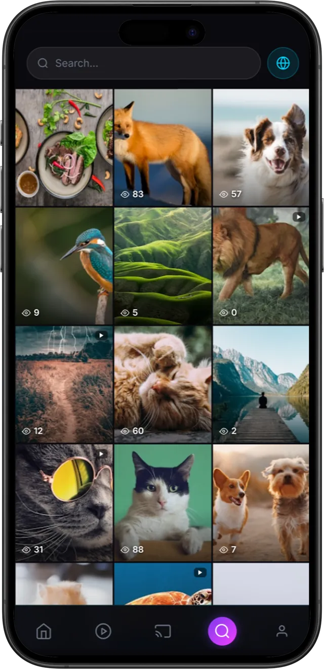 Explore grid of photos and videos with view counts